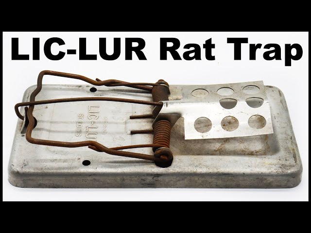 LEHOUR Mouse/Rats Trap, Mice Traps That Work, Mice Snap Trap with Bait Cup,  Reus 