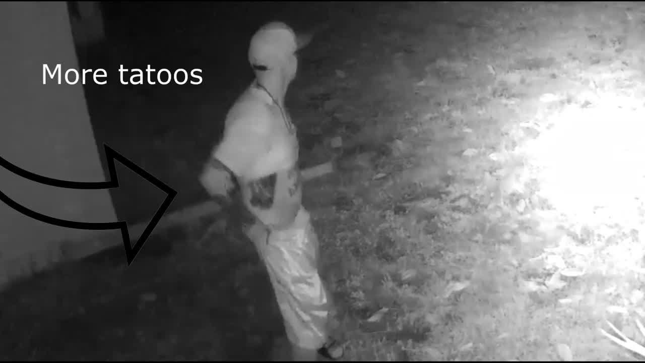 Holiday Lake Estates creeper YouTube