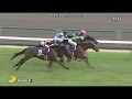 【競馬】高松宮記念で1着が降着！ ゴール 直前 ダイアトニックジョッキー立ち上がる大ハプニング