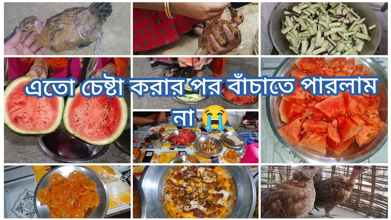 🥲 সব চেষ্টা ব্যর্থ হলো, আমাকে ছেড়ে চলেই গেল আমার আদরের বাচ্চাটি।। Assam village lifestyle ।।