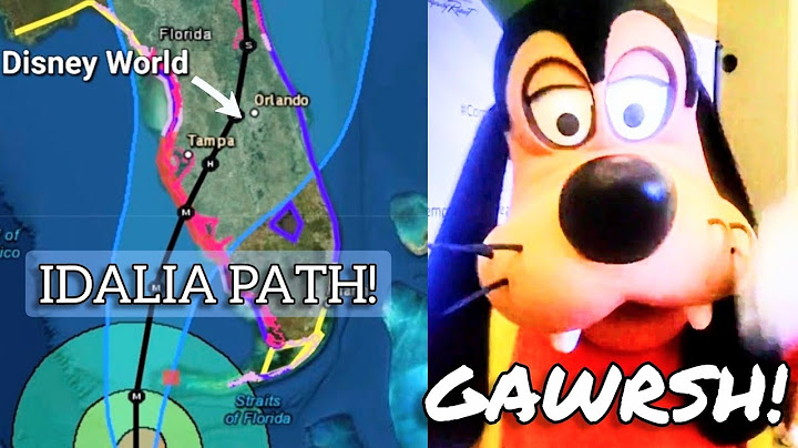 What Happens at WALT DISNEY WORLD during a Hurricane?