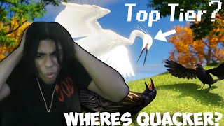 The Best Bird Tier List To EXIST!!! (Tier Zoo)