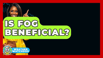 Is Fog Beneficial? - Weather Watchdog