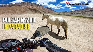 A Ride to World's Highest Saltwater Lake - PANGONG