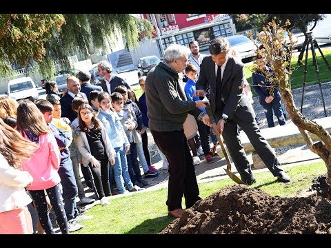 Poesia e &Aacute;rvores aclamadas em Famalic&atilde;o