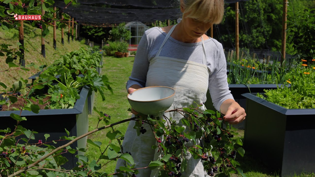 Škola vrtlarstva - posadite bobičasto voće