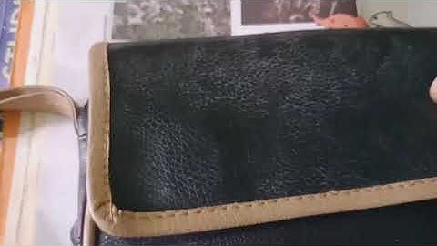 Who invented Velcro? || EVS || Class 5 || Seeds & Seeds || Explanation || Learn With Logic