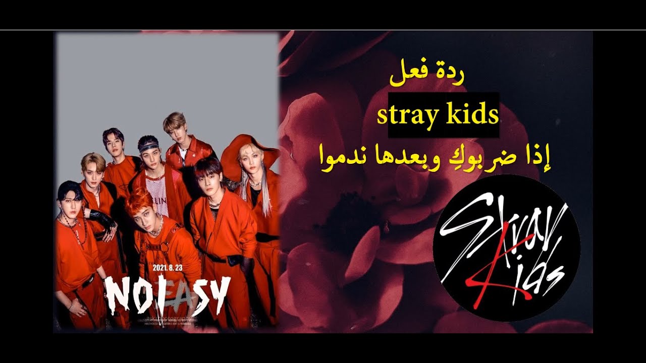 ردة فــــعل stray kids أذا ضـــربــوك *الوصف مهم*