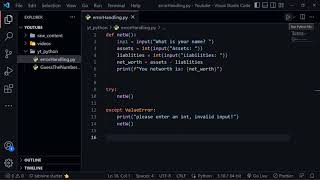 Net Worth Calculator and Error handling using python. See how rich you are!