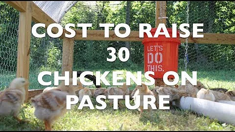 Cost to Raise 30 Chickens on Pasture