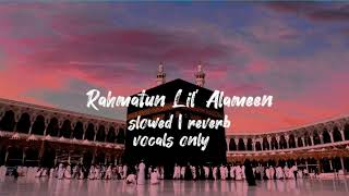 Rahmatun Lil' Alameen | [slowed   reverb   vocal only ] || No music Arabic Nasheed