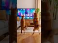 Funny Cat and Dog Dancing to the TV Singer 😂🐶🐱#FunnyAnimals #CatAndDog #PetDance