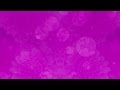 Purple floral bokeh  background loop