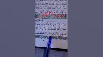#سورةالفيل#المصحف #viralvideo #duet #quran #القزابري #اللهم_صل_وسلم_على_نبينا_محمد