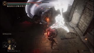 Elden Ring Bloody Phantom Slasher Dual Naginata, best bleed build for 1.10