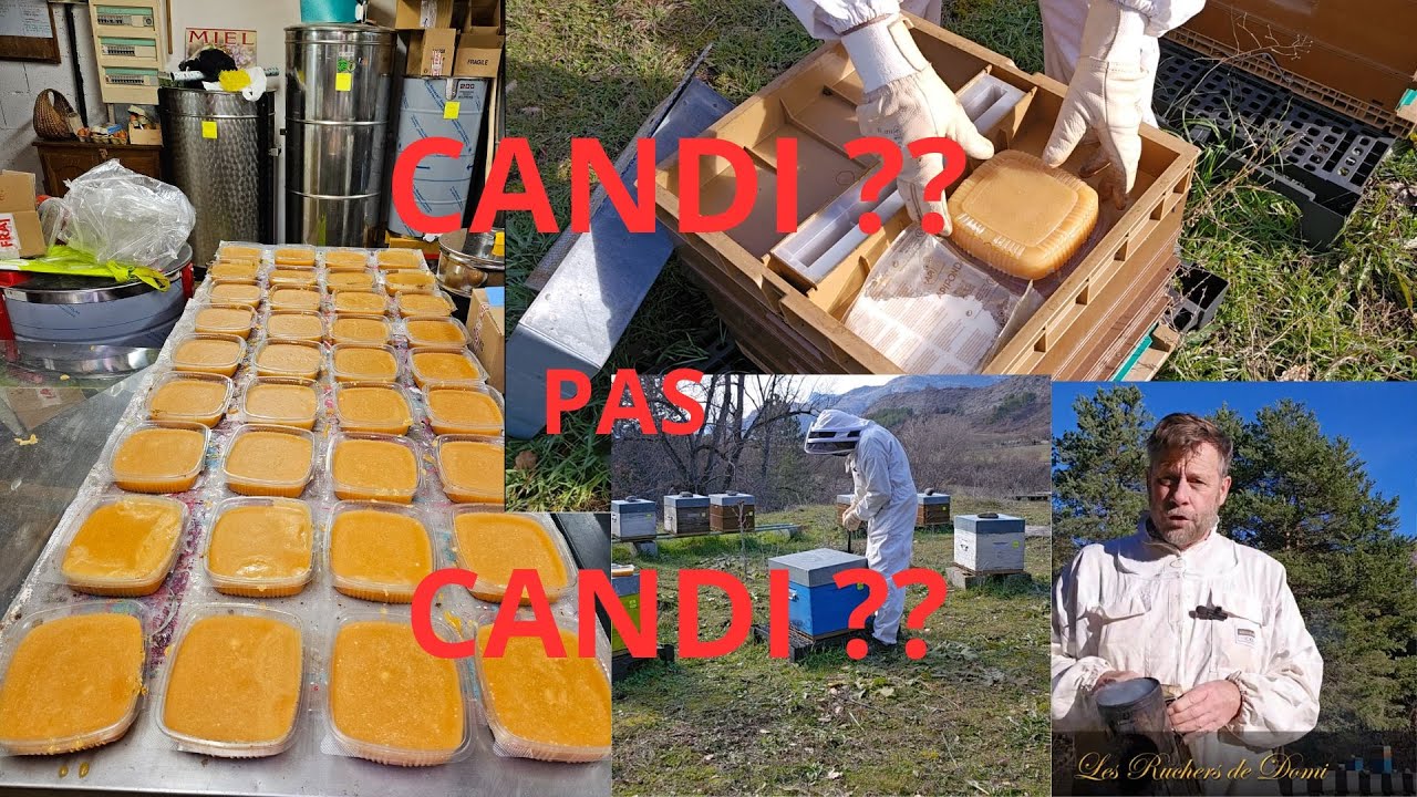 Saison 3 Épisode 2. Le 15/01/2024. Fabrication candi, pesage, nourrissage et hivernage des ruches.