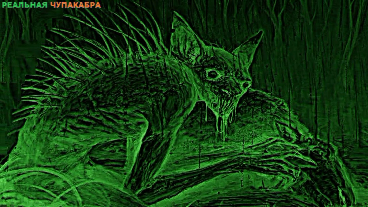 Чупакабра в России - хроника нападений Чупакабры - YouTube