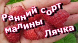 :     
