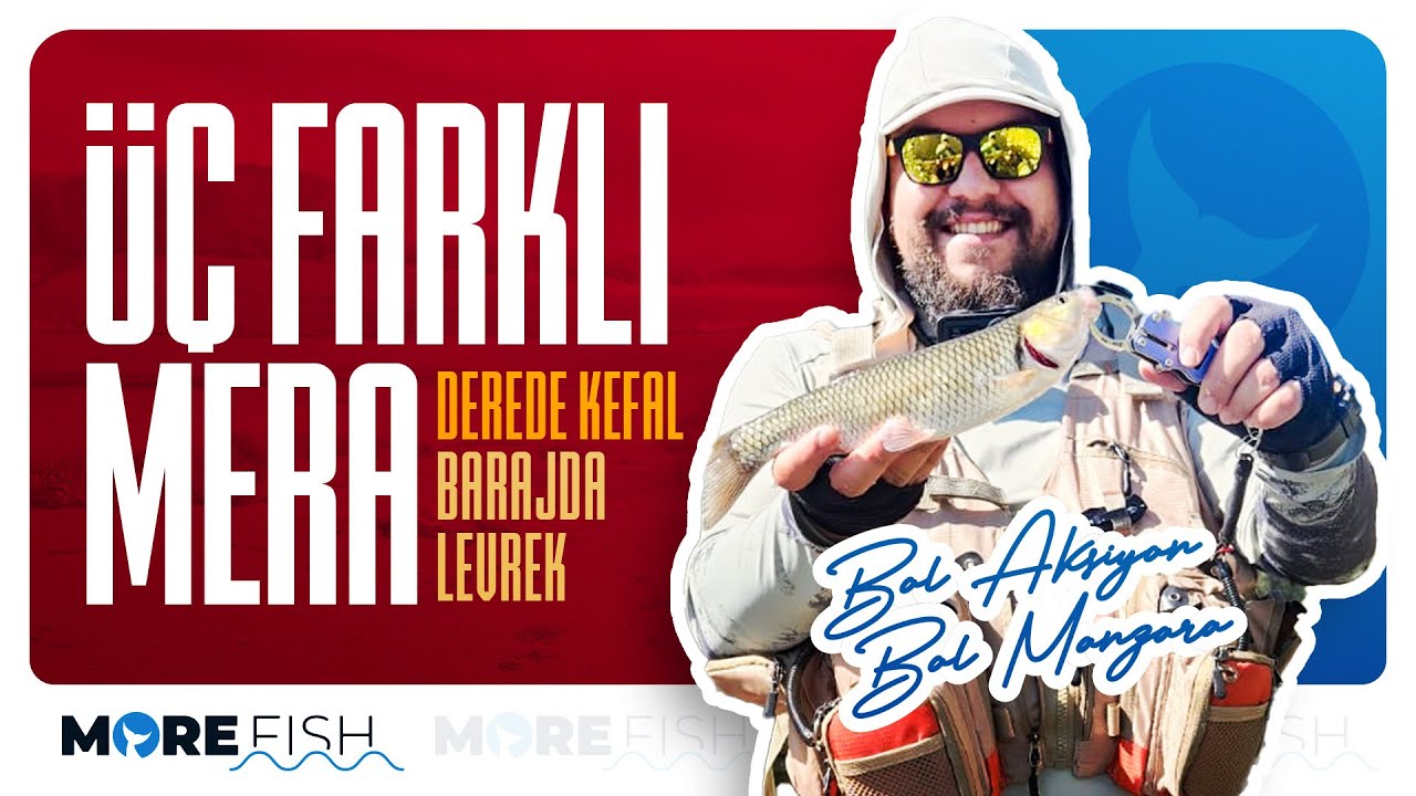 Derede Kefal ( Kasna) , Barajda Levrek ( Perch) Avladık !