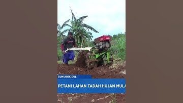 petani lahan tadah hujan mulai persiapkan  lahan