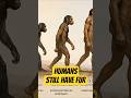 Humans Didn't Lose Their Fur