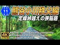 埼玉県道11号 熊谷小川秩父線 | 定峰峠を越えて熊谷市と秩父市を結ぶ道 全線約49.4km | 4K 60FPS