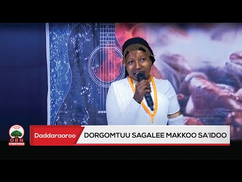 Daddaraaroo Dorgomtuu Sagalee Makkoo Sa Idoo