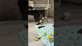My favorite job 🥹🩵🫶🏾 #7monthsbaby #crawler #crawling