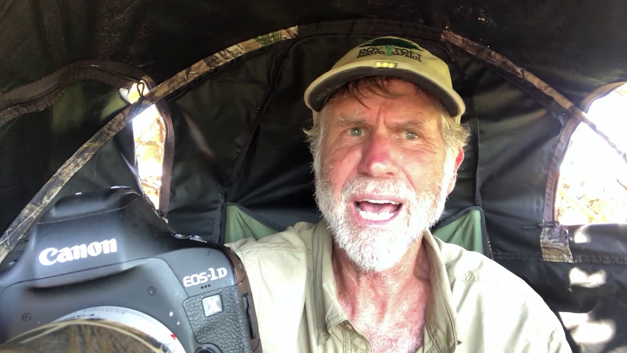 Day 8 Harpy Eagle Blind - Roy Toft