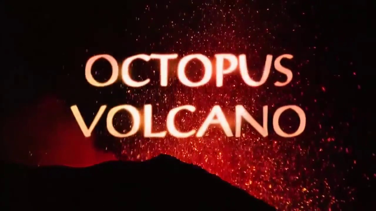 Морские животные. Осьминог