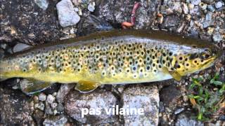 Peche a la truite en haute montagne le 06 avril 2012.wmv