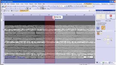 OLYMPUS Stream - Manual Stitched Image Acquisition