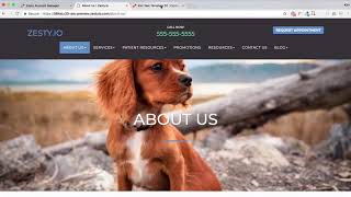 How to Add Content to a Page, Page Set, or Data Set in Zesty.io
