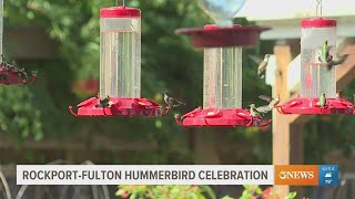 Rockport expecting thousands of visitors to flock toward 35th Annual Hummerbird Celebration