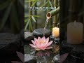 1 Minute Miracle EraseStress INSTANTLY! 🧘♂️✨ Quick Anxiety Relief #soothingrelaxeveryday #relaxing