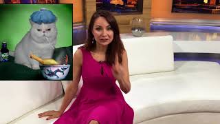 Jenny Milkowski Polish Lesson: I'm sick