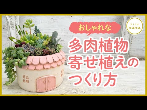 ❤️専用ページ❤️多肉植物の寄せ植え❤️ 小さなバス】の寄せ植え 多肉植物 多肉寄せ植え プレゼント寄せ