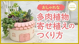 ❤️専用ページ❤️多肉植物の寄せ植え❤️ 観葉植物 多肉植物 寄せ植え」の人気商品一覧 | 安い商品を通販