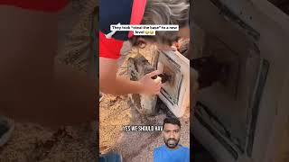 Download Lagu honkbal nieuw niveau #honkbal MP3