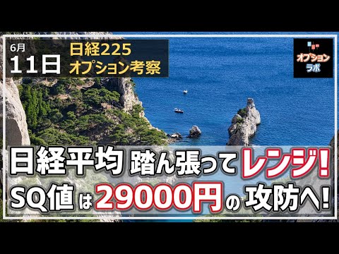 【日経225オプション考察】6/11 日経平均はぎりぎり踏ん張ってレンジ維持！ 6月限SQ値は29000円の攻防が濃厚も、日経平均寄与度の高い銘柄の弱さに注意！