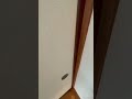 姉の部屋を、爆破してみた。#diy #tiktok #shorts