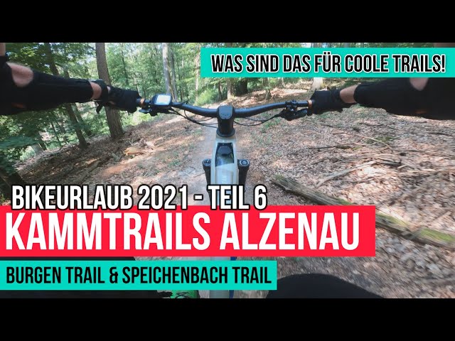 rennrad kaufen nürnberg 3T Strada Italia Force AXS Discus – Christoph Schwerdt brand-klein Color:Transparent Pink Fahrradhelm City ABUS YOUN