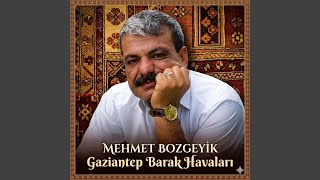Şu Barağın Beyleri