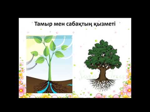 Бейне: Әлемнің бөліктерін қалай анықтауға болады