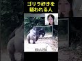 にゅうがゴリラに反応😳👀