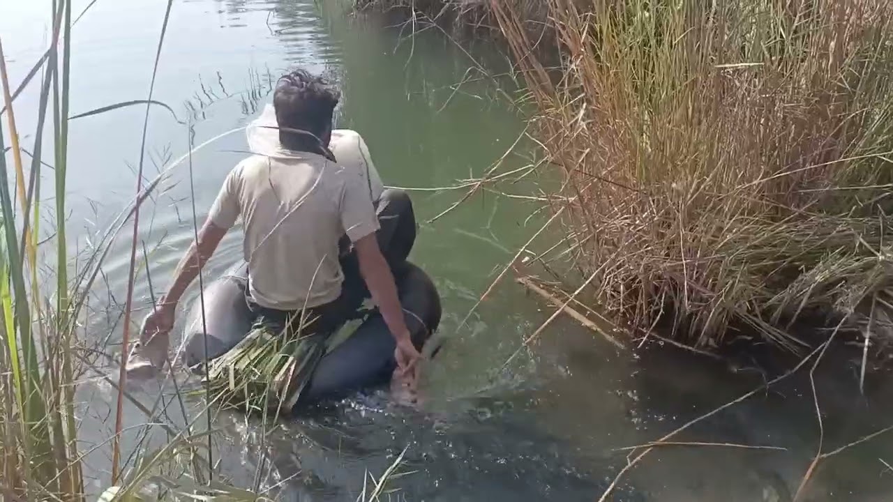 Fishing live Net Hunting Waseem fishing king river 28 jan 2026