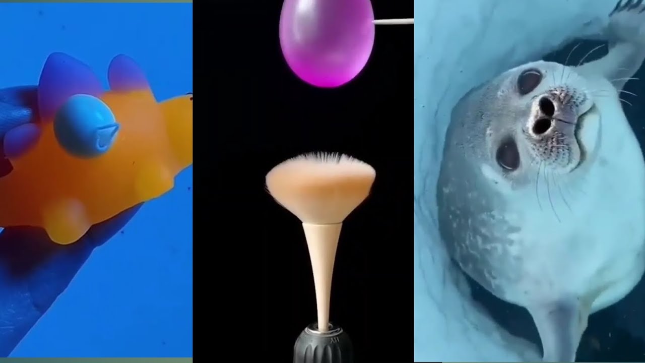 Satisfying Enjoy And Relaxing Compilation in Tik Tok || Best Oddly ...