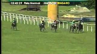 Reunion N°109 Fecha 25/11/2012, Carrera N�5