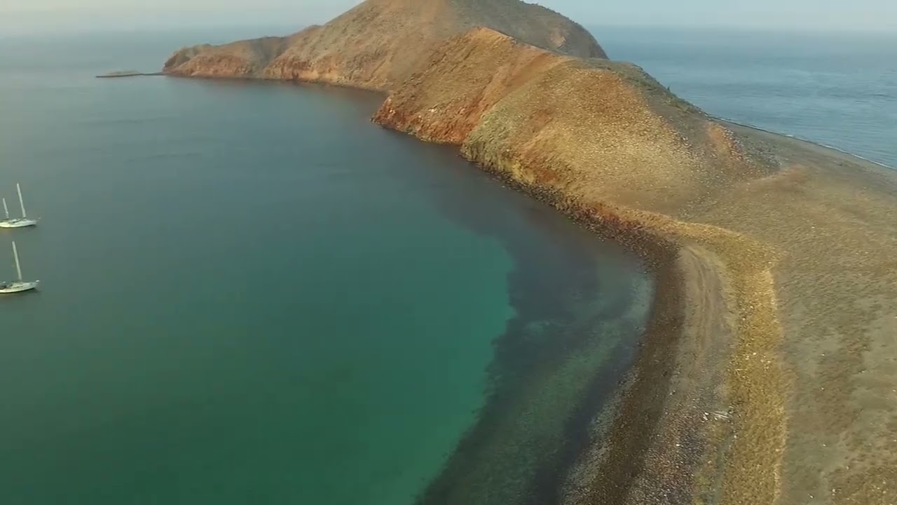 ⁣Sceptre 43 in the northern Sea of Cortez
