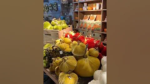 Discover New Fall Decor with Susan Munroe
